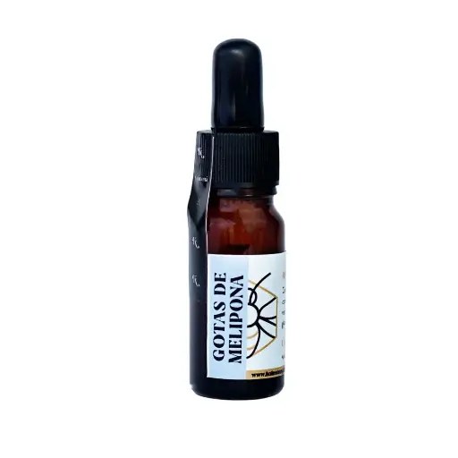 [S-001] Miel Melipona [10 ml]